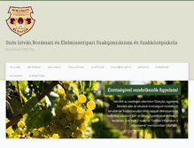 Tablet Screenshot of borasziskola.hu